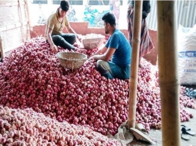 এক ঘোষণাতেই পেঁয়াজের দাম মণে কমলো ৫০০ টাকা