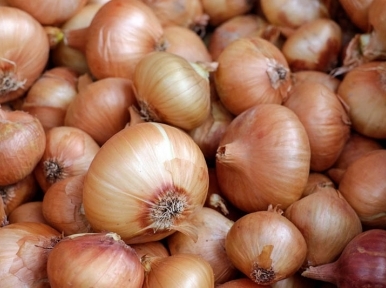 On the first day, 1532 tons of onion arrives from India