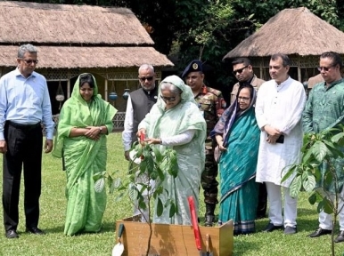 জলবায়ু পরিবর্তনের প্রভাব থেকে বাংলাদেশকে রক্ষায় গাছ লাগান : প্রধানমন্ত্রী