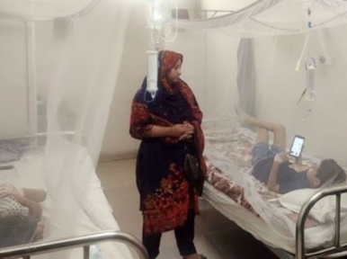 Husband, son and daughter in same hospital in dengue, housewife taking care of everything alone