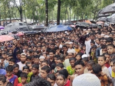 Rohingyas' desire to return to their homeland on Genocide Day