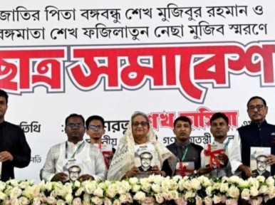 A 'big' country pressured to keep a person as MD of a bank: Sheikh Hasina