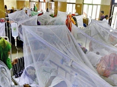 Dengue claims 14 lives in one day, 2,751 patients hospitalized