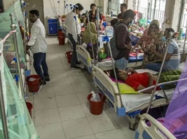 Dengue claims 12 more lives, 2,711 hospitalized in one day