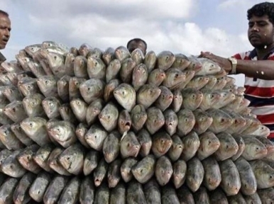Kolkata fish traders want 60 days to import hilsa