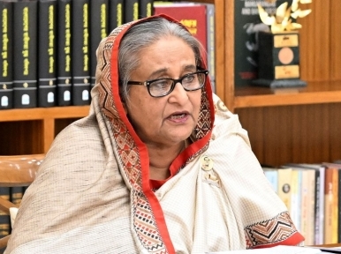 So much development in Bangladesh just because Awami League is in power: PM