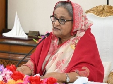 Government determined to establish a peaceful Bangladesh: PM