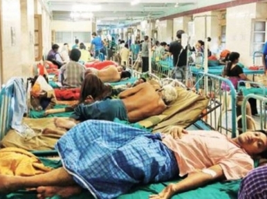 Dengue claims 13 more lives, 2,291 hospitalized