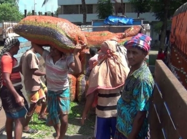 হিলি দিয়ে এসেছে ভারতীয় কাঁচামরিচ