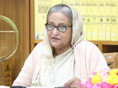 Awami League never thinks about what it will get: PM