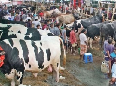 There is no restriction on setting up animal market in Aftabnagar