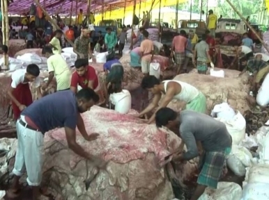 Eid-ul-Azha: 1 Crore 41 thousand animal sacrifices across country