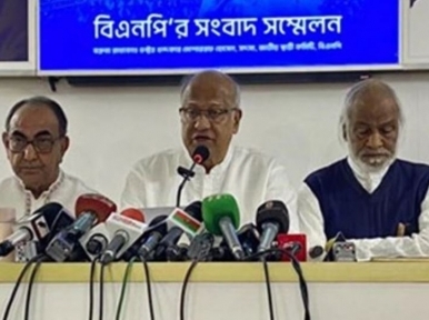 BNP has no interest in presidential election