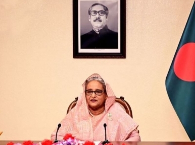 Awami League has brightened the country's image in the world: PM