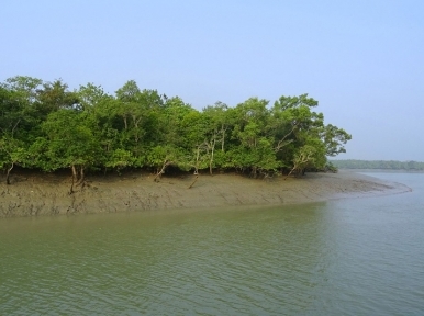 10 travellers, who went missing in Sundarbans, rescued