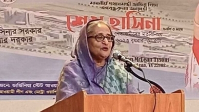 Don't care about any country's sanctions: PM in US