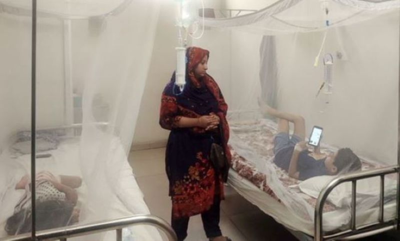 Husband, son and daughter in same hospital in dengue, housewife taking care of everything alone