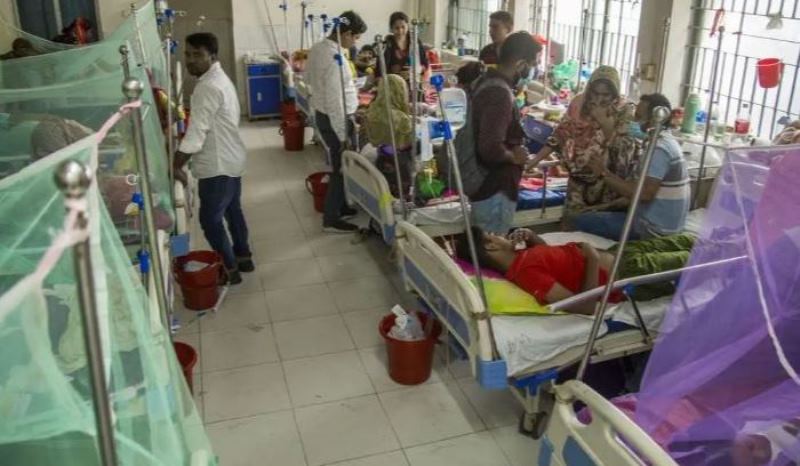 Dengue claims 12 more lives, 2,711 hospitalized in one day