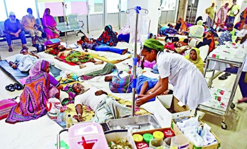 Dengue: Record 2,292 patients hospitalized in a single day, 9 deaths reported
