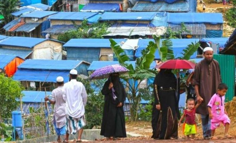 Dengue outbreak reported in Rohingya camp