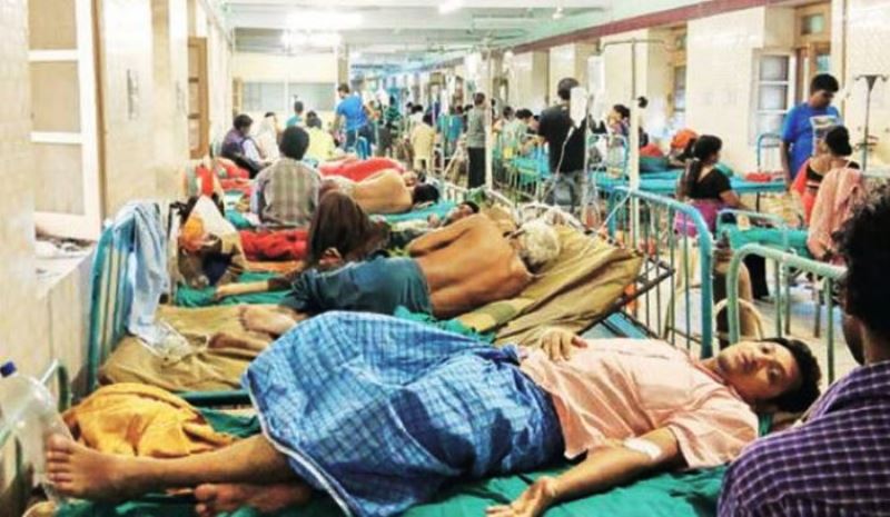Dengue claims 13 more lives, 2,291 hospitalized