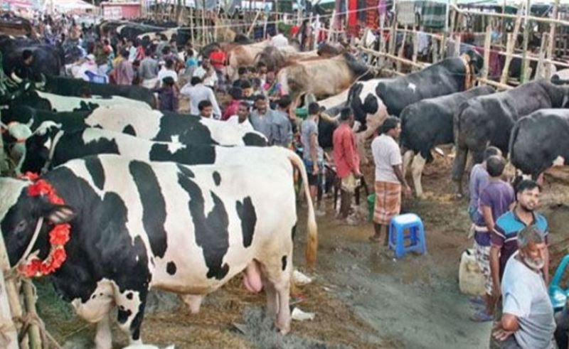 There is no restriction on setting up animal market in Aftabnagar