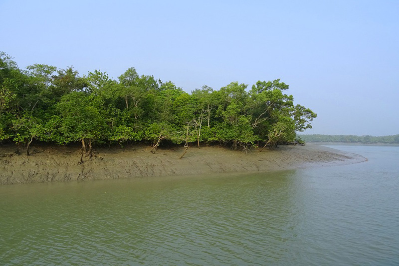 10 travellers, who went missing in Sundarbans, rescued