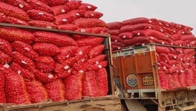 India gives permission to export 50,000 tons of onions to Bangladesh