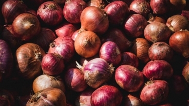 India stops onion exports to Bangladesh indefinitely