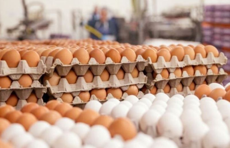 Manipulation in the price of eggs, two companies fined Tk 3.5 crore