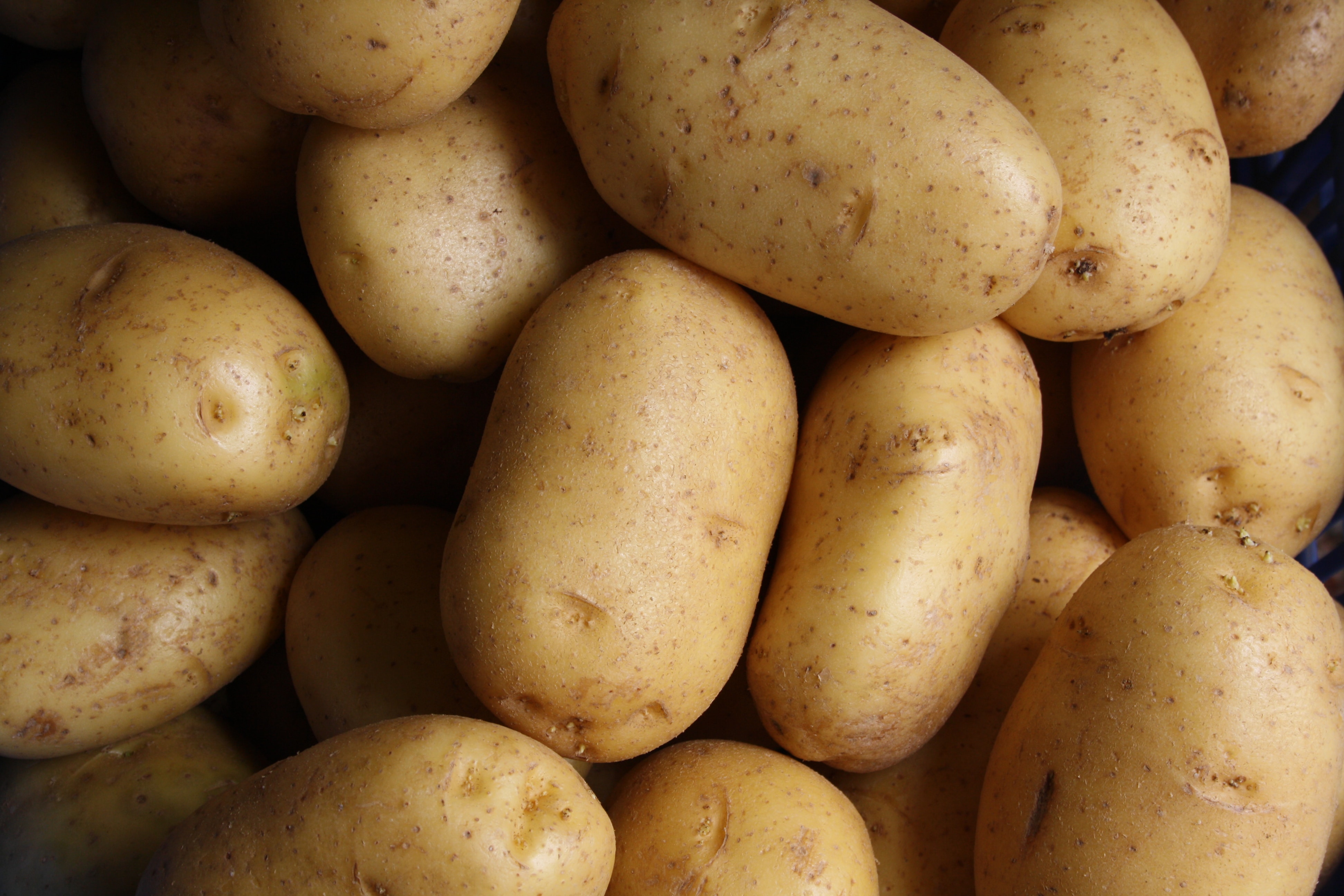 Potato prices going down