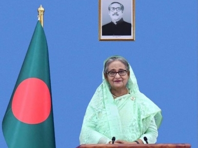 Sheikh Hasina attends international conference virtually